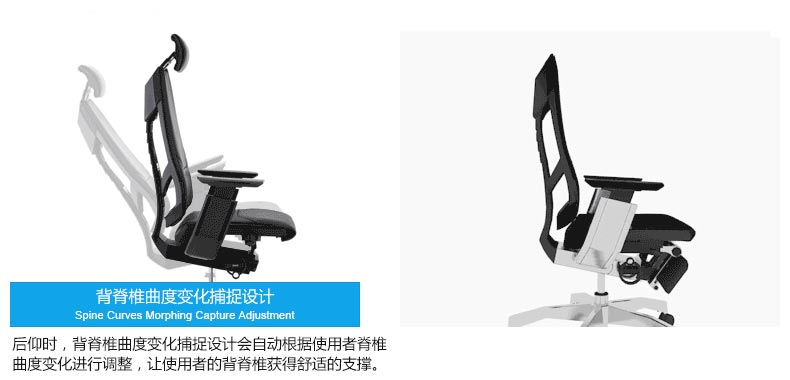 夢(mèng)達(dá)網(wǎng)吧健康椅子脊椎曲度變化捕捉設(shè)計(jì)